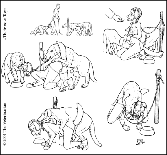 The veterinarian page 6 full