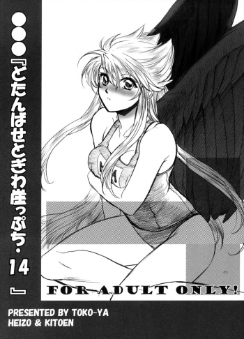 (C74) [Toko-ya (HEIZO, Kitoen)] Dotanba Setogiwa Gakeppuchi 14 (Breath of Fire II) cover