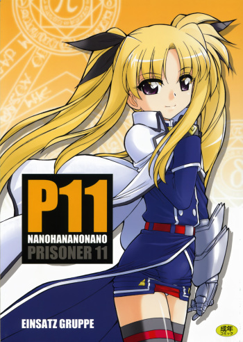 (C73) [EINSATZ GRUPPE (Charlie Nishinaka)] P11 PRISONER 11 NANOHANANONANO (Mahou Shoujo Lyrical Nanoha StrikerS) cover