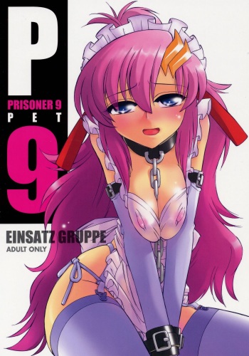 (C71) [EINSATZ GRUPPE (Charlie Nishinaka)] PRISONER 9 Pet (Mobile Suit Gundam SEED Destiny) cover