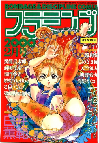 Flamingo 2000-02 cover