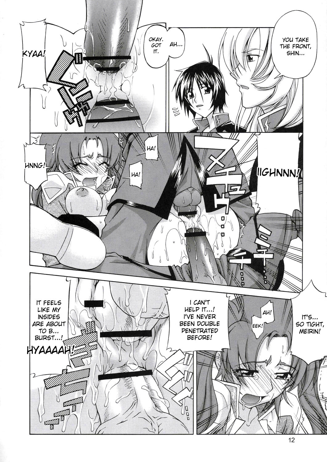 Lunamaria to Meyrin-san Desutte ne! page 11 full