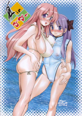 (C72) [Hi-PER PINCH (clover)] Natsu in Summer (Lucky Star) cover