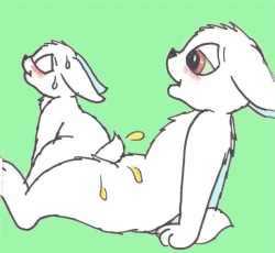 Mike Sherman -furry cub collection