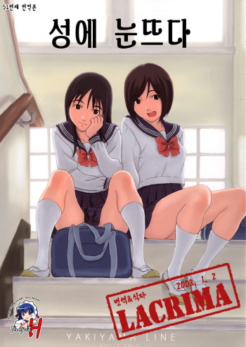 (C73) [YAKIYAMA LINE (Kahlua Suzuki)] Binetsu no Mezame [Korean] [Project H, LACRIMA] cover