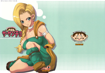 (C75) [Youkai Tamanokoshi (CHIRO)] The Sancho (Dragon Quest V) cover