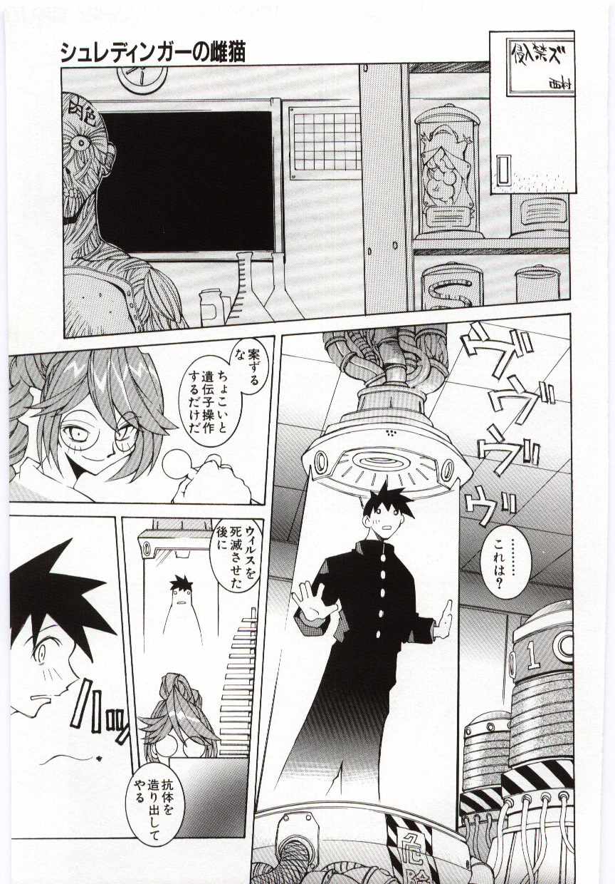 VIDE page 8 full