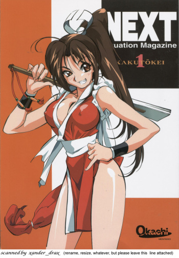 (CR26) [Okachimentaiko Seisakushitsu (Various)] NEXT Situation Magazine 1 Kakutoukei (Various) cover