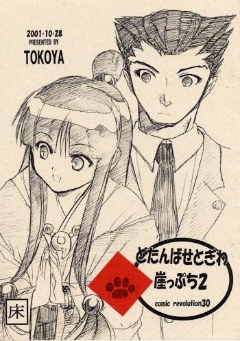 [Toko-ya (Kitou En)] Dotanbasetogi wa gake ppuchi 2 (Ace Attorney) cover