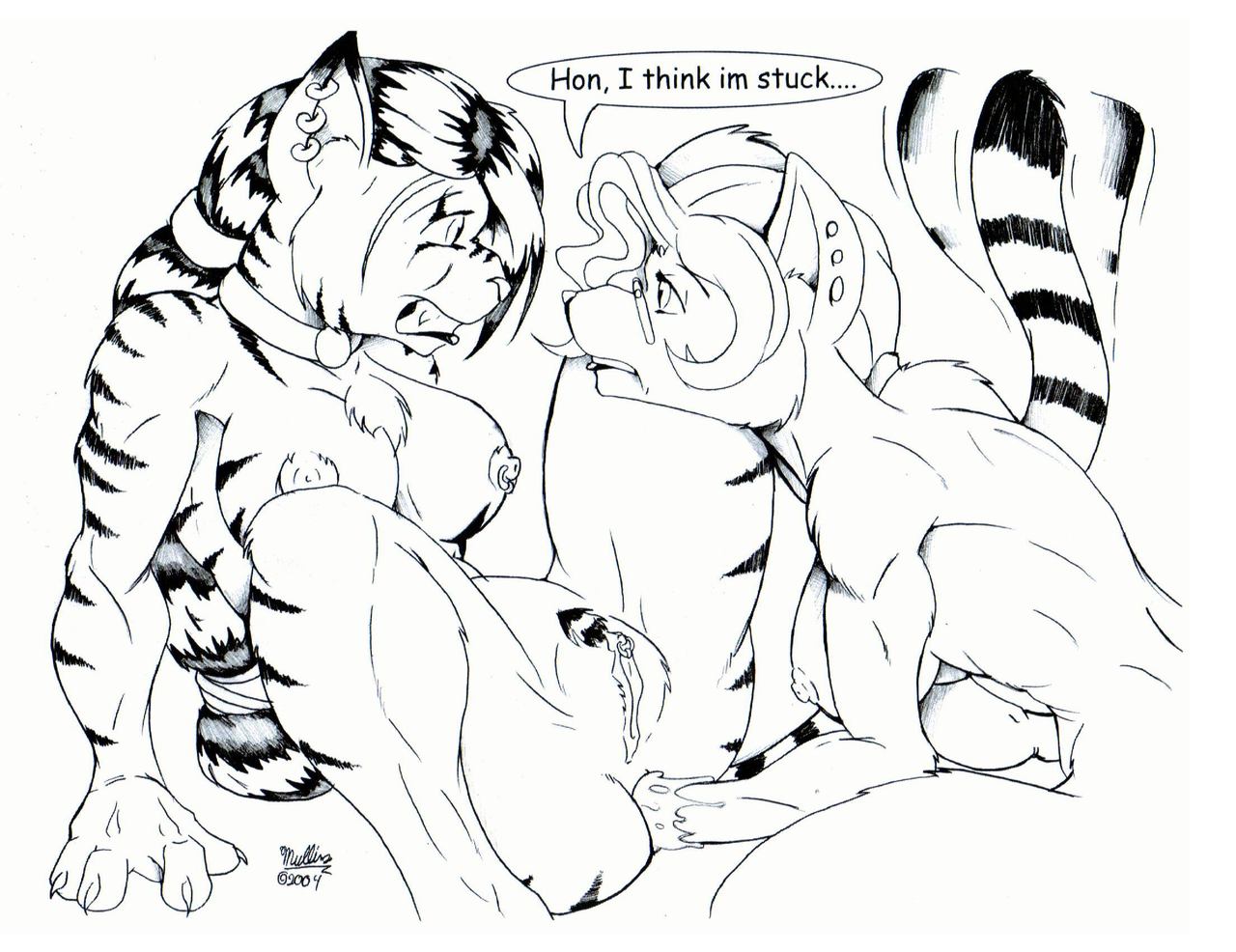 TJA - I Cant Believe it Fit Folio 2004 page 6 full