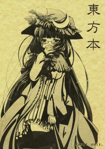 (Mimiket 19) [Burning Soul (Sakayaki)] Touhou Hon (Touhou Project) cover