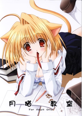 (C63) [Neko Kinryouku (NekoNeko)] Tsukineko Kyoushitsu (Tsukihime) cover