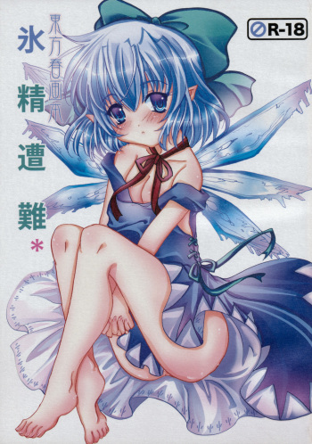 (C75) [Burning Soul (Sakayaki)] Touhou Shunga Hon - Hyousei Sounan (Touhou Project) cover