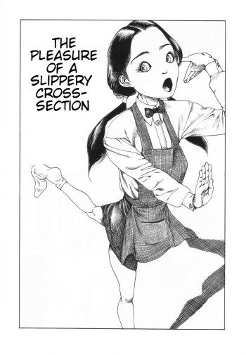 Shintaro Kago - The pleasure of a slippery cross-section cover