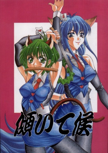 Hyper Police - Katamuite Sorou cover