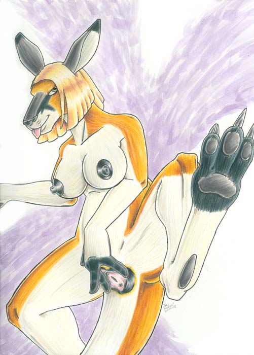 Kangaroo page 1 full