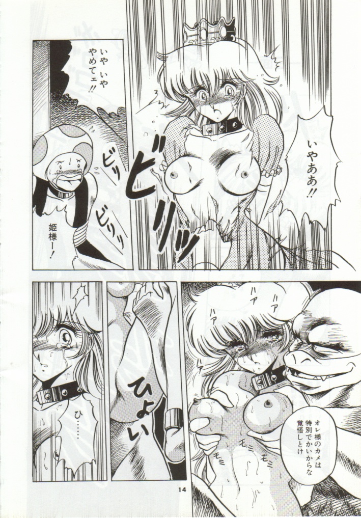 Super Mario Collection page 11 full