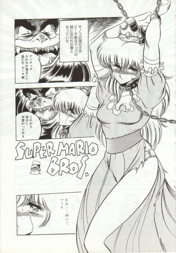 Super Mario Collection page 8 full