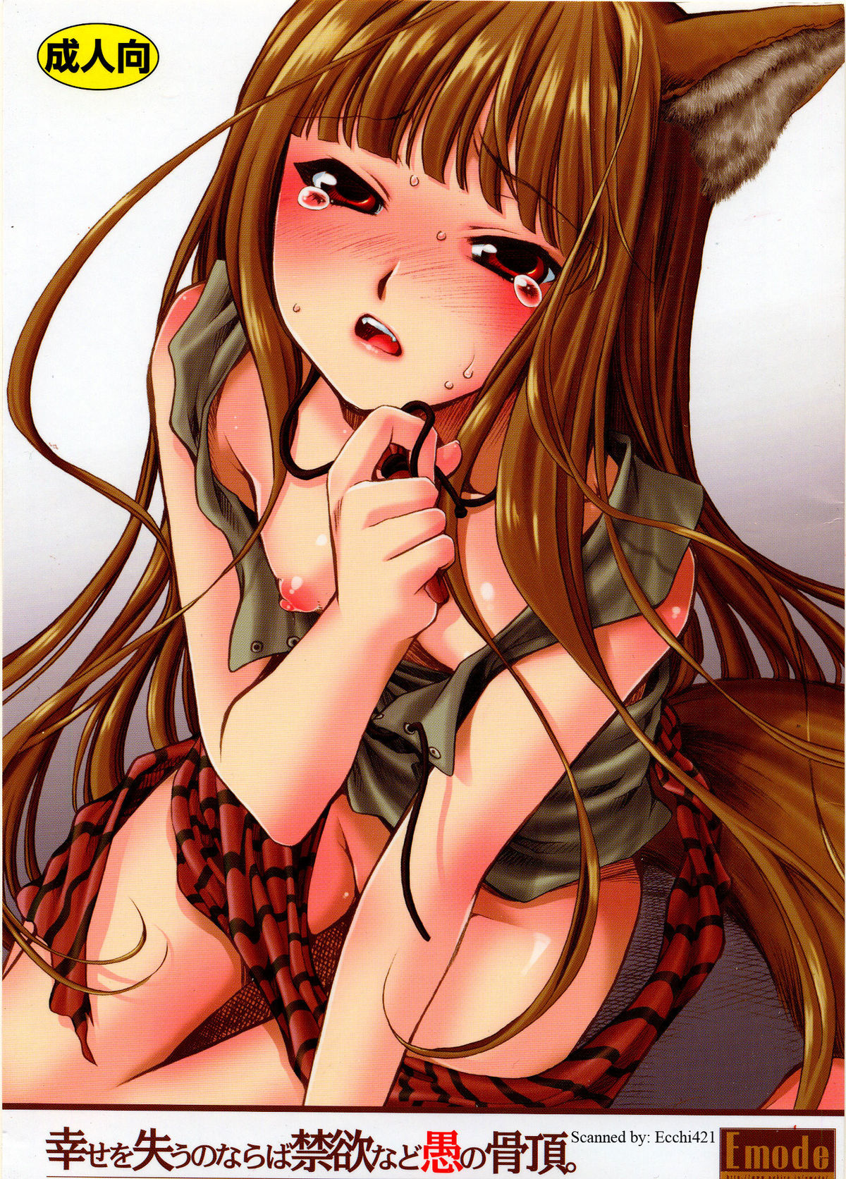 Shiawase wo Ushinau Naraba Kinyoku Nado Gu no Kocchou page 1 full