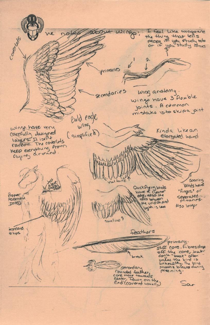 Caribou - Corpus Animala page 12 full