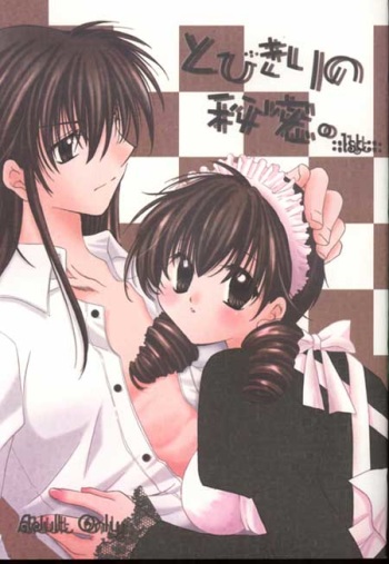 (C64) [Sakurakan (Seriou Sakura)] Tobikiri no Himitsu (Inuyasha) cover