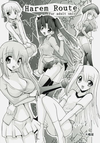 (Comic Castle 2006) [Oohashiya (Oohashi Hikaru)] Harem Route (Fate/stay night) cover