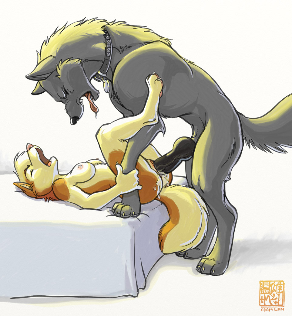 Random Furry Gallery part 1 page 6 full