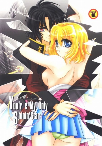(C68) [PISCES (Hinase Kazusa)] You're My Only Shinin' Star (Gundam Seed Destiny) cover
