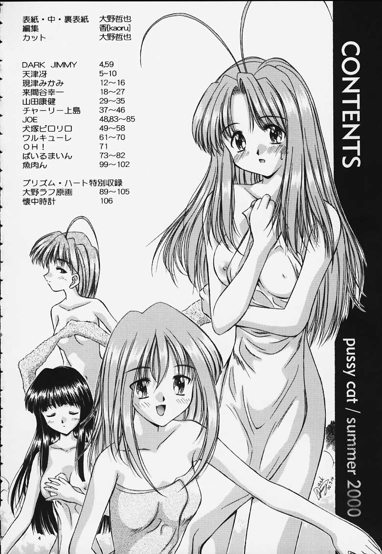 PRIHINA page 2 full