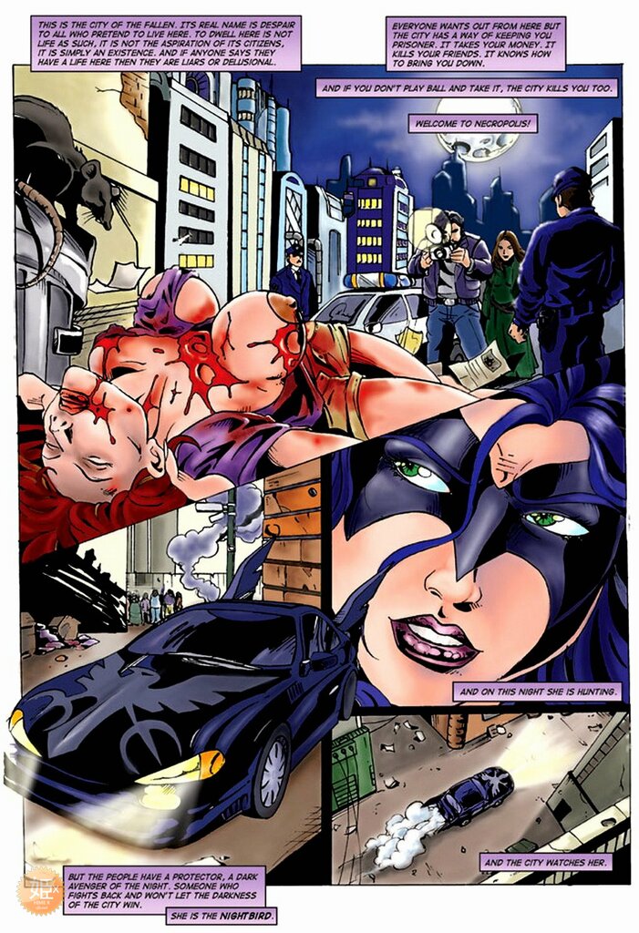 Nightbird page 2 full