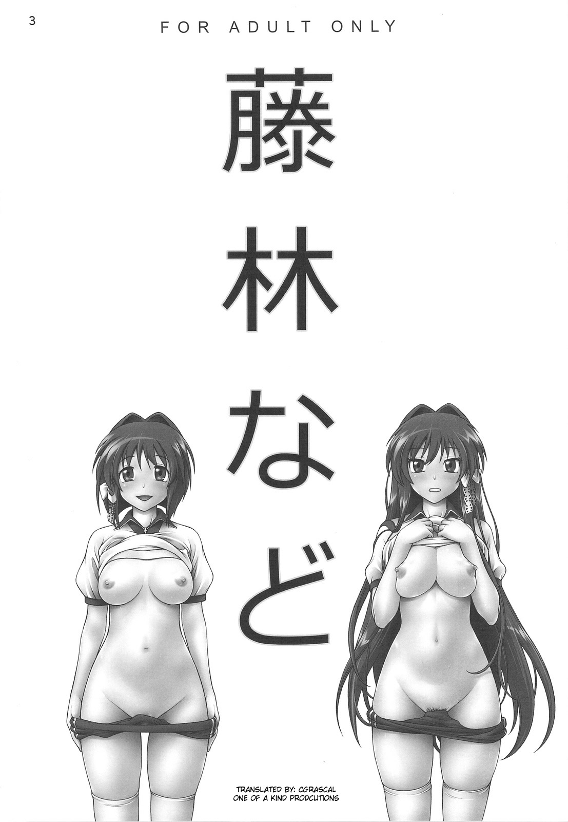 Fujibayashi Nado - Fujibayashi Twins After Story page 2 full