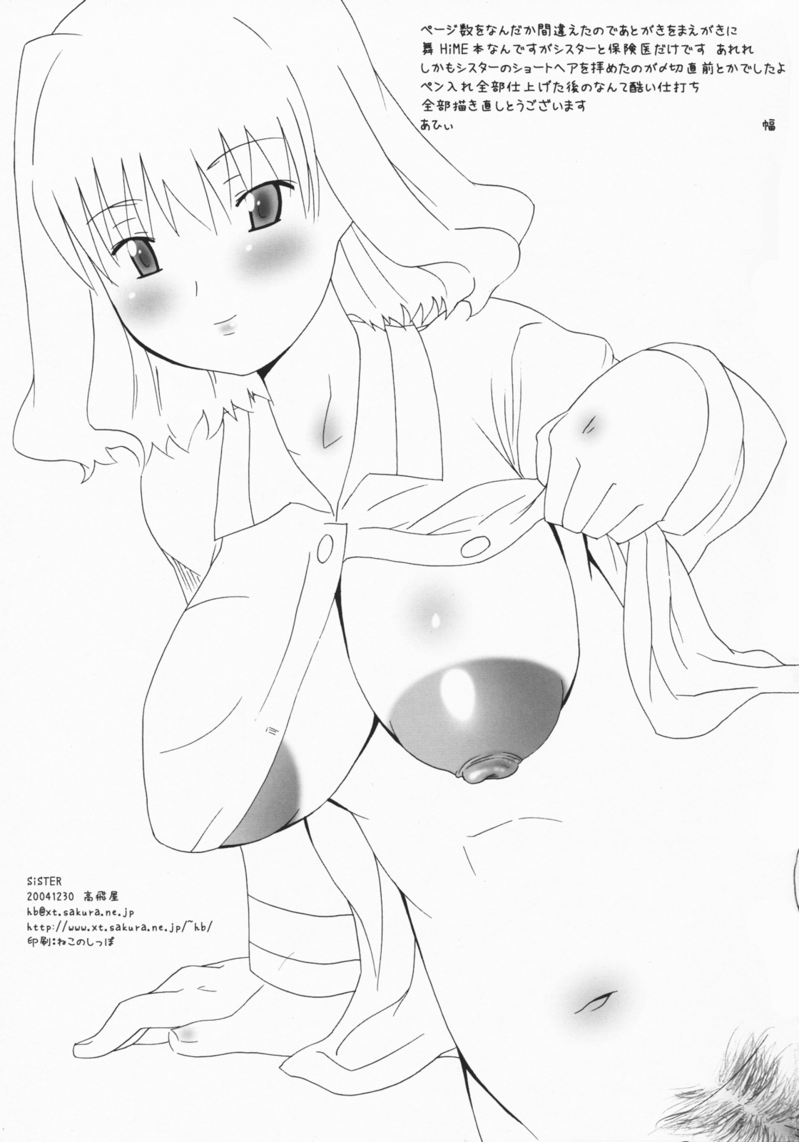 SiSTER page 2 full