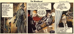 The Bloodhound