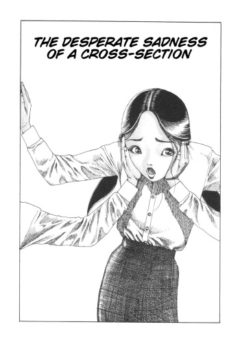 Shintaro Kago - The Desperate Sadness of a Cross-Section [ENG] cover