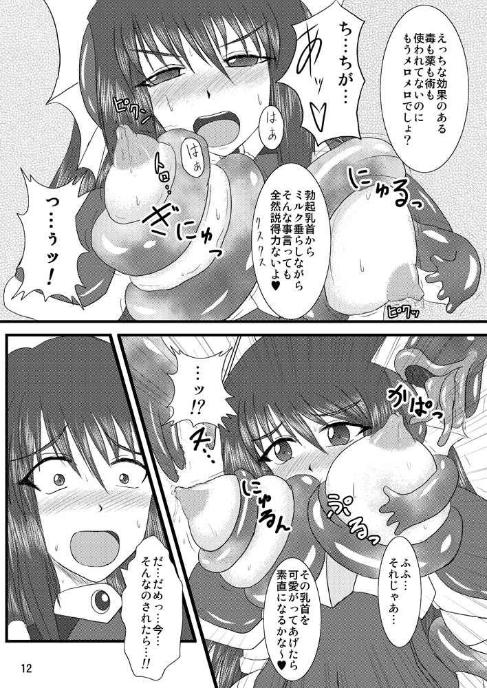 Shield Knight Elsain Vol.2 "Nightmare Agitator" page 11 full