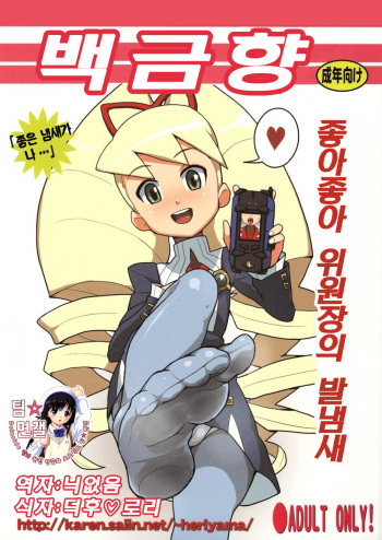 (SC39) [Zenra Restaurant (Heriyama)] Shirogane Kou | 백금향 (Megaman Starforce) [Korean] [팀☆면갤] cover