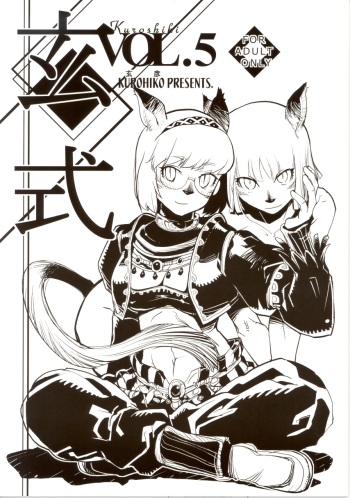 (C71) [Kuroshiki (Kurohiko)] Kuroshiki Vol. 5 (Final Fantasy XI) cover