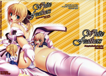 (C75) [PLANET PIECE (Hiya)] white feathers (Fate/unlimited codes) cover