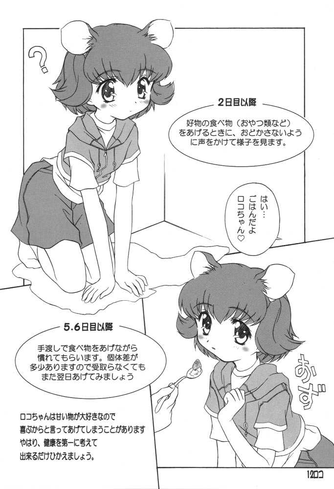 BM HAMTARO page 11 full