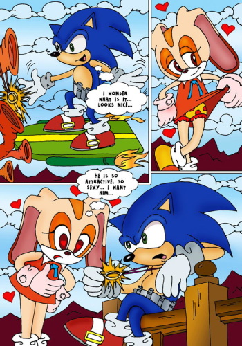 Sky Sex (Sonic the Hedgehog) cover