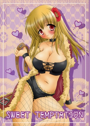 (ComiComi10) [MiyuMiyu Project (Kanna Satsuki)] SWEET TEMPTATION (Ragnarok Online) cover