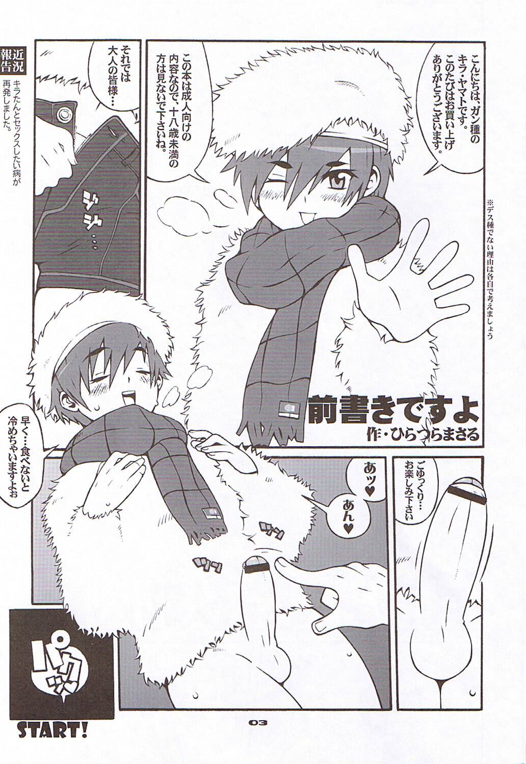 RC2005 page 2 full