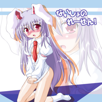 (Ugetsusai) [Schwester (Inasaki Shirau)] Naisho no Reisen! (Touhou Project) cover