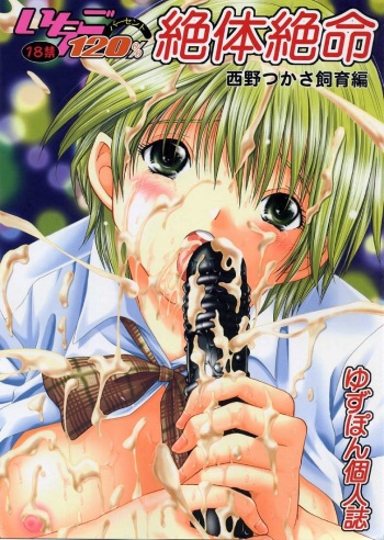 (C69) [TecchiTecchi (YUZUPON)] Ichigo 120% Zettai Zetsumei Nishino Tsukasa Shiiku hen (Ichigo 100%) cover