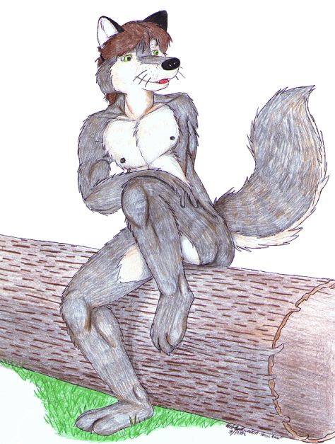Patrick Raccoon Art page 3 full