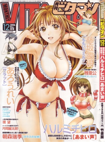 Monthly Vitaman 2006-12 cover