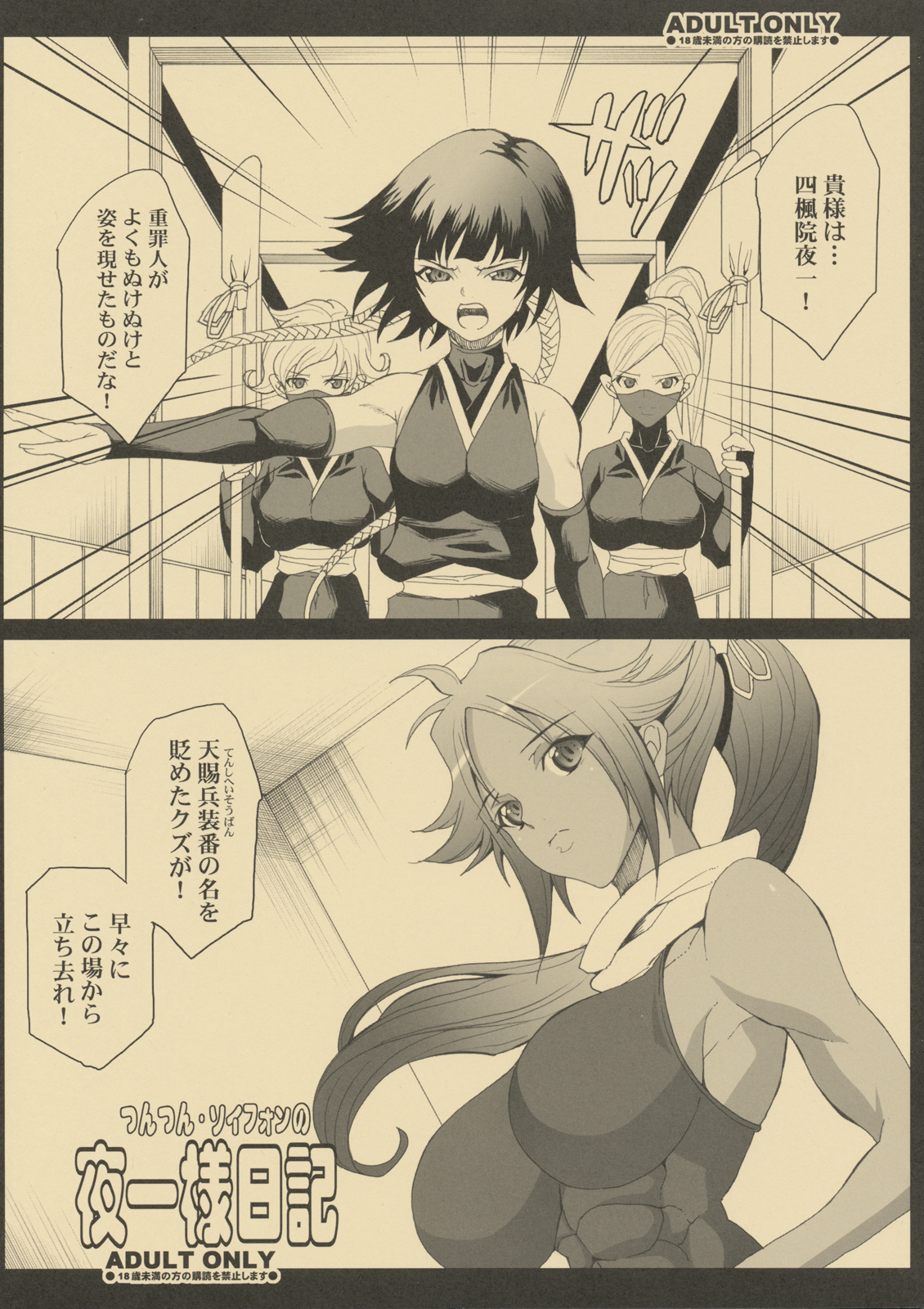 Tsun Tsun Soifon no Yoruichi Nikki page 1 full