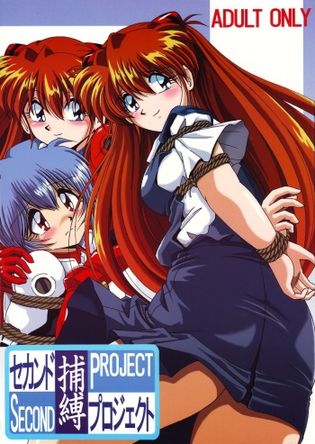(CR36) [Thirty Saver Street 2D Shooting (Maki Hideto, Sawara Kazumitsu)] Second Hobaku Project (Neon Genesis Evangelion) [English] cover