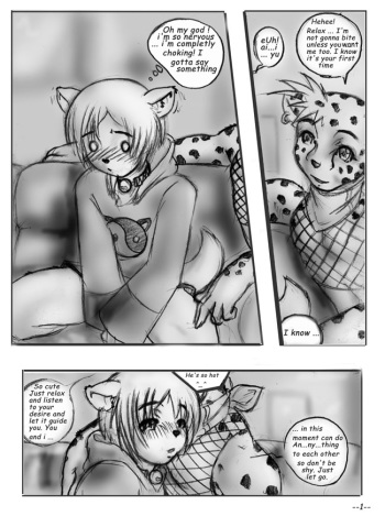 Furry Boy Love cover