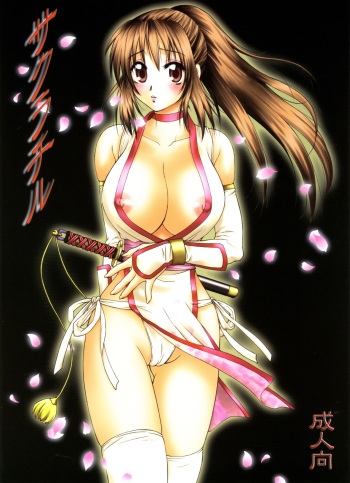 (C70) [Hanamaru Mugen Gym (Hyoujun Mai)] Sakura Chiru (Dead or Alive) cover